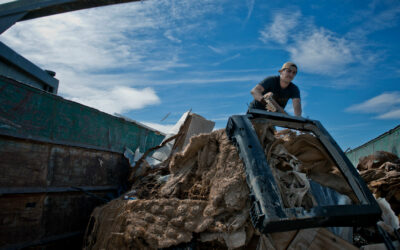 Major Clean Up in Joshua Tree