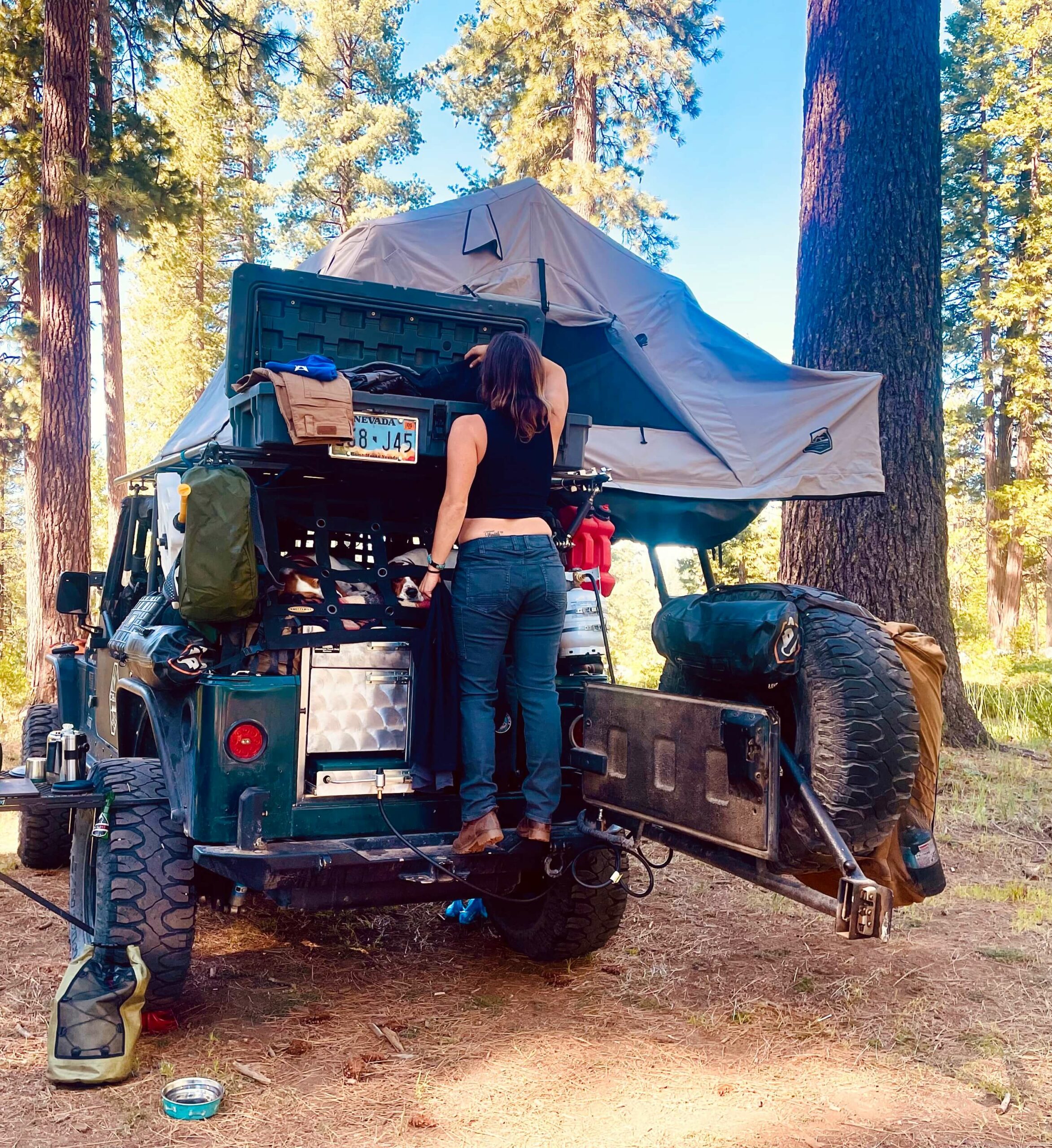 Rooftop storage for long term overlanding.