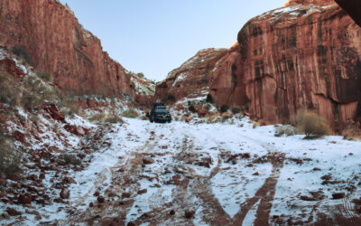 Braking on Ice 101: When Rubber Meets Ice on the Trail