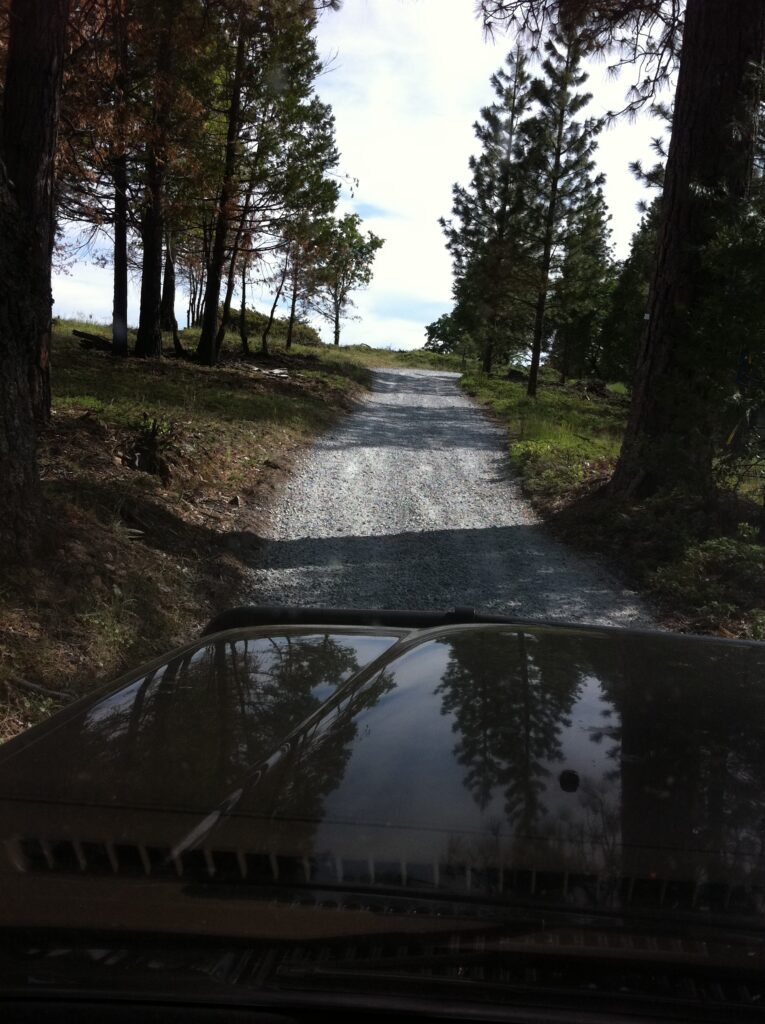 Hood of the truck going down a dirt road.