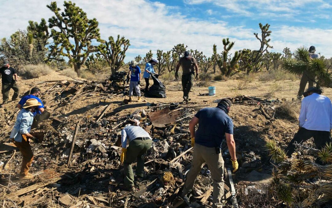 Trail clean up